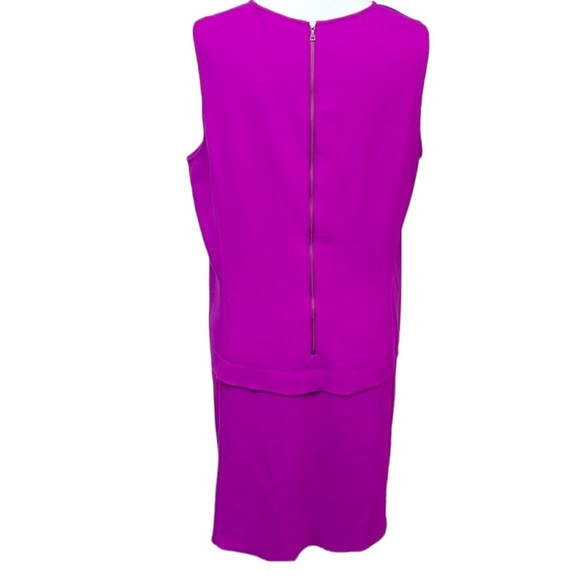 Loft Fuchsia Drop Waist Shift Dress - Picture 5 of 8